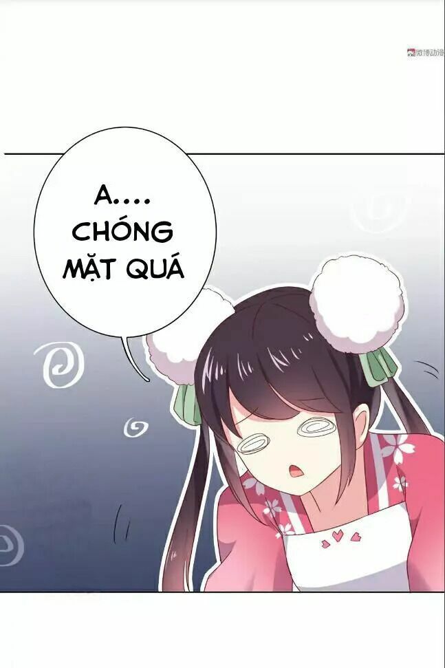 Phi thiên địch tự dưỡng đích khẩu tử: Chapter 22