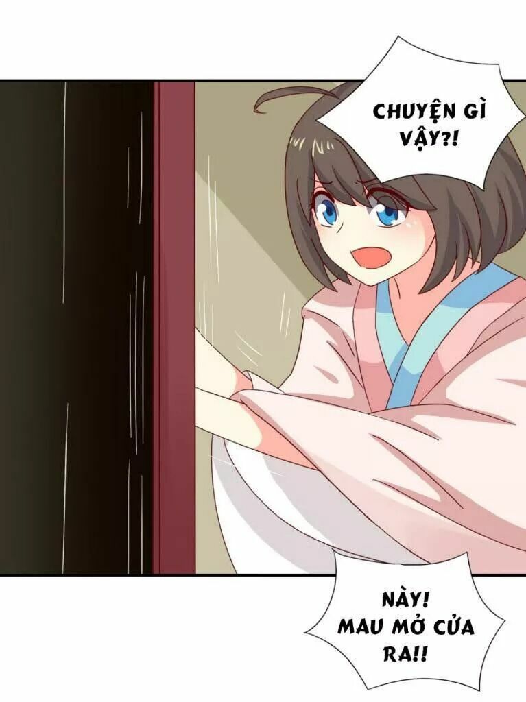 Phi thiên địch tự dưỡng đích khẩu tử: Chapter 23