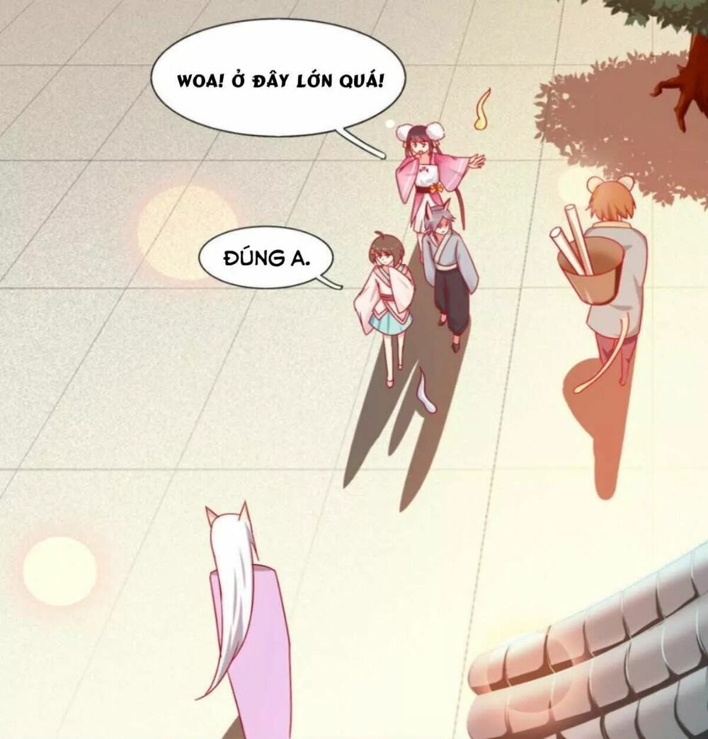 Phi thiên địch tự dưỡng đích khẩu tử: Chapter 23