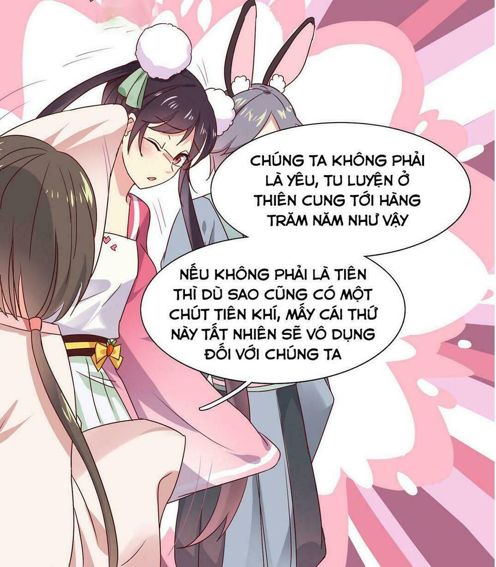 Phi thiên địch tự dưỡng đích khẩu tử: Chapter 24