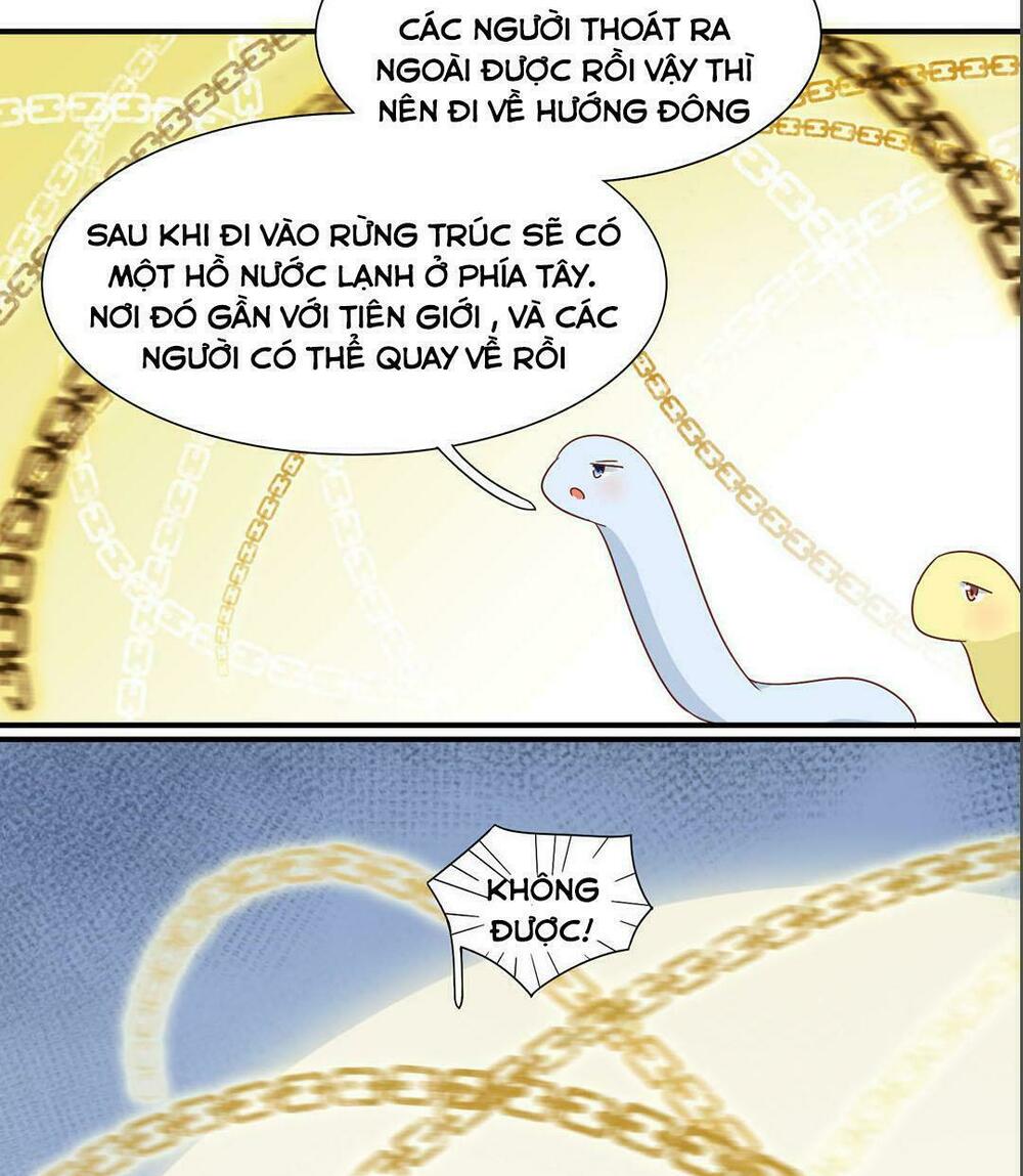 Phi thiên địch tự dưỡng đích khẩu tử: Chapter 24