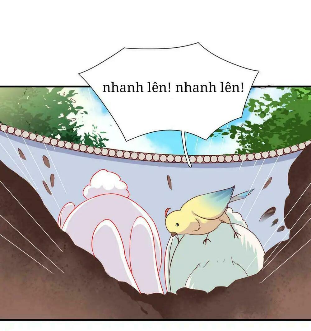 Phi thiên địch tự dưỡng đích khẩu tử: Chapter 25