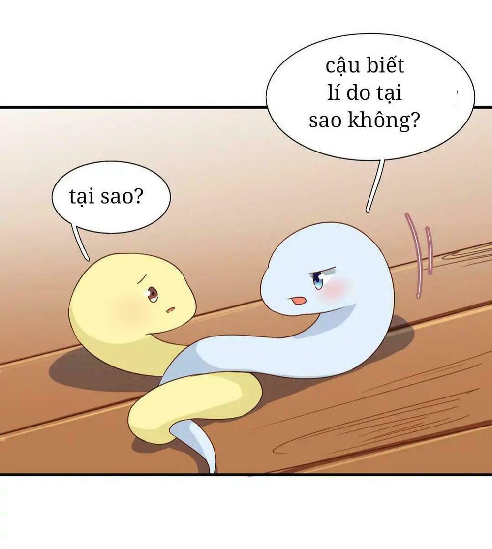 Phi thiên địch tự dưỡng đích khẩu tử: Chapter 25