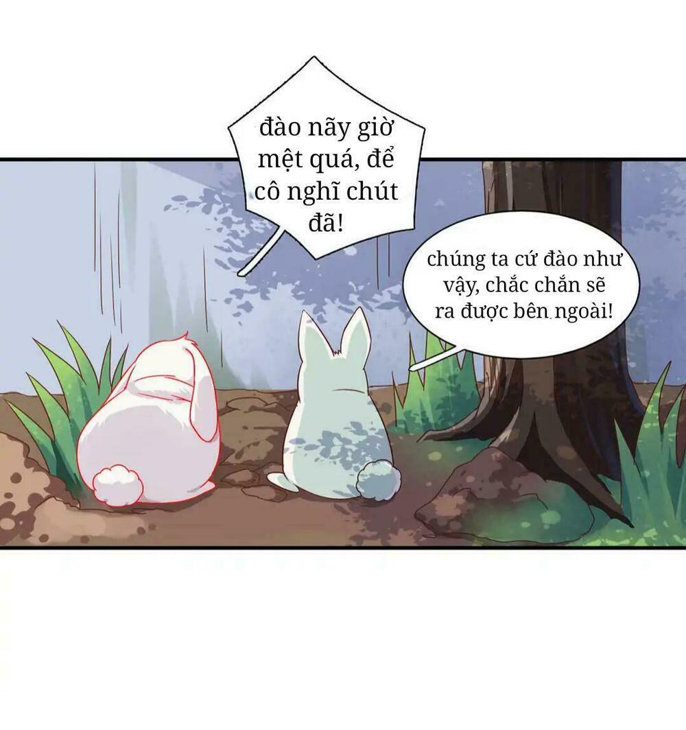 Phi thiên địch tự dưỡng đích khẩu tử: Chapter 25