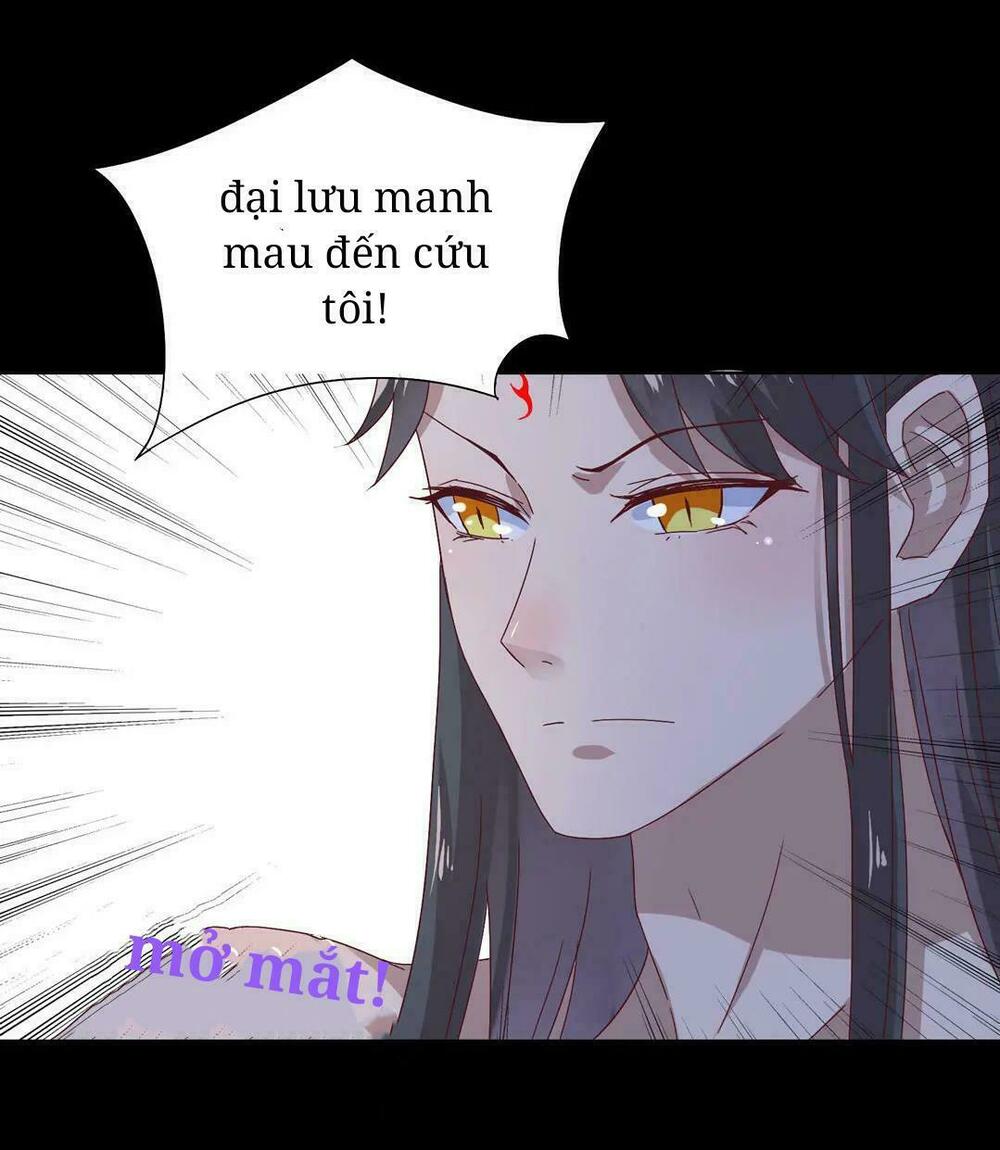 Phi thiên địch tự dưỡng đích khẩu tử: Chapter 28