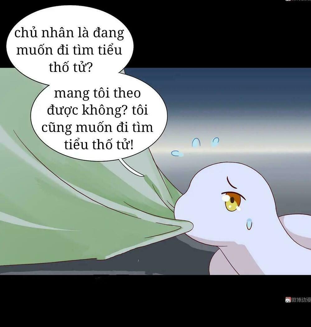 Phi thiên địch tự dưỡng đích khẩu tử: Chapter 28