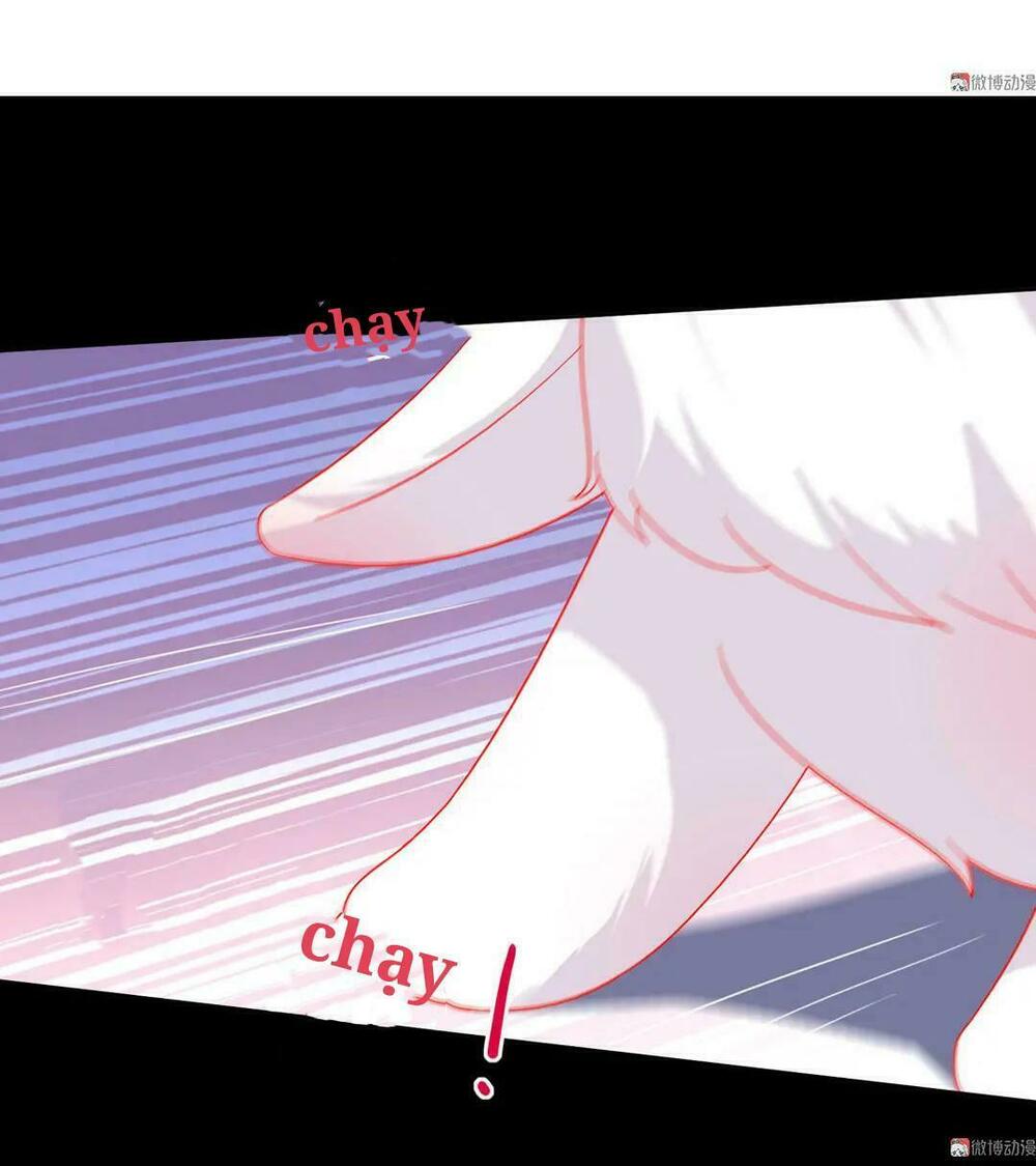 Phi thiên địch tự dưỡng đích khẩu tử: Chapter 28