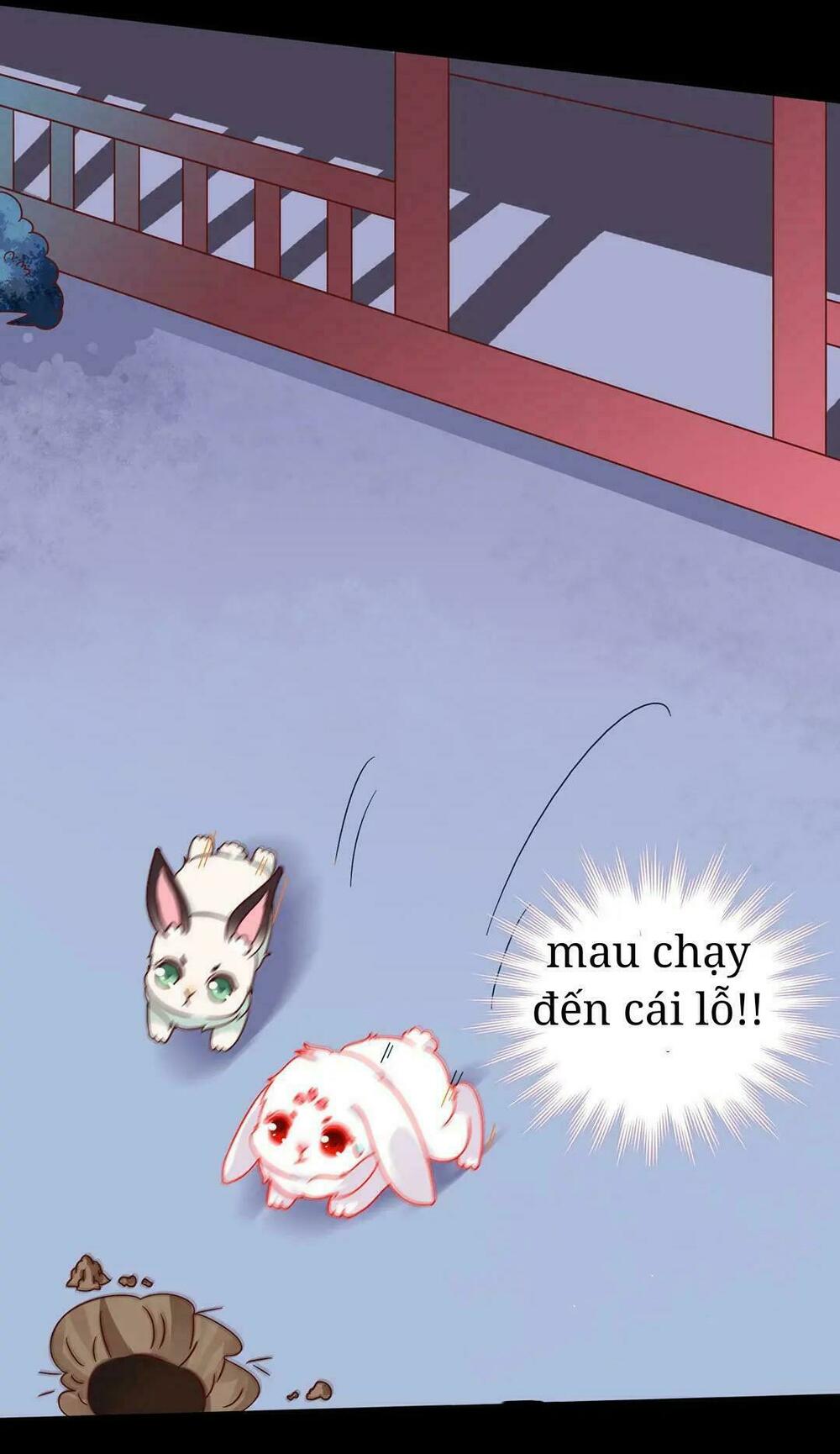 Phi thiên địch tự dưỡng đích khẩu tử: Chapter 28