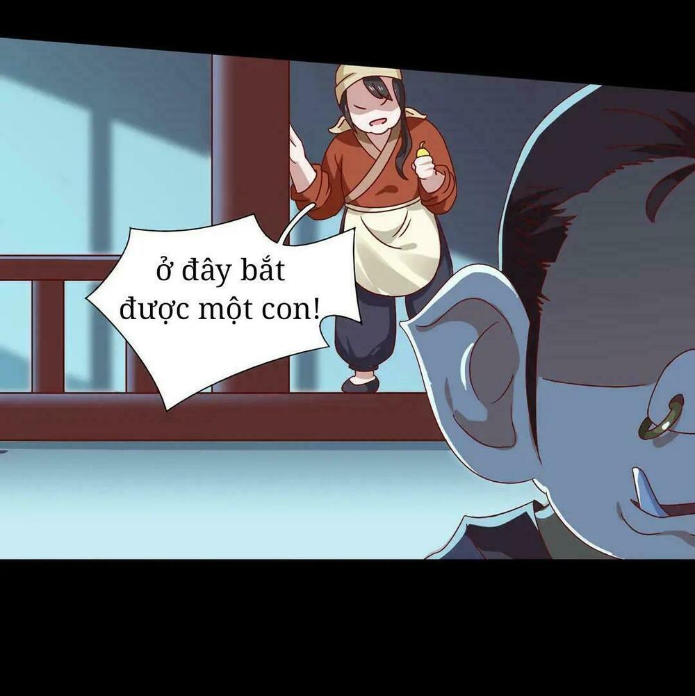 Phi thiên địch tự dưỡng đích khẩu tử: Chapter 28