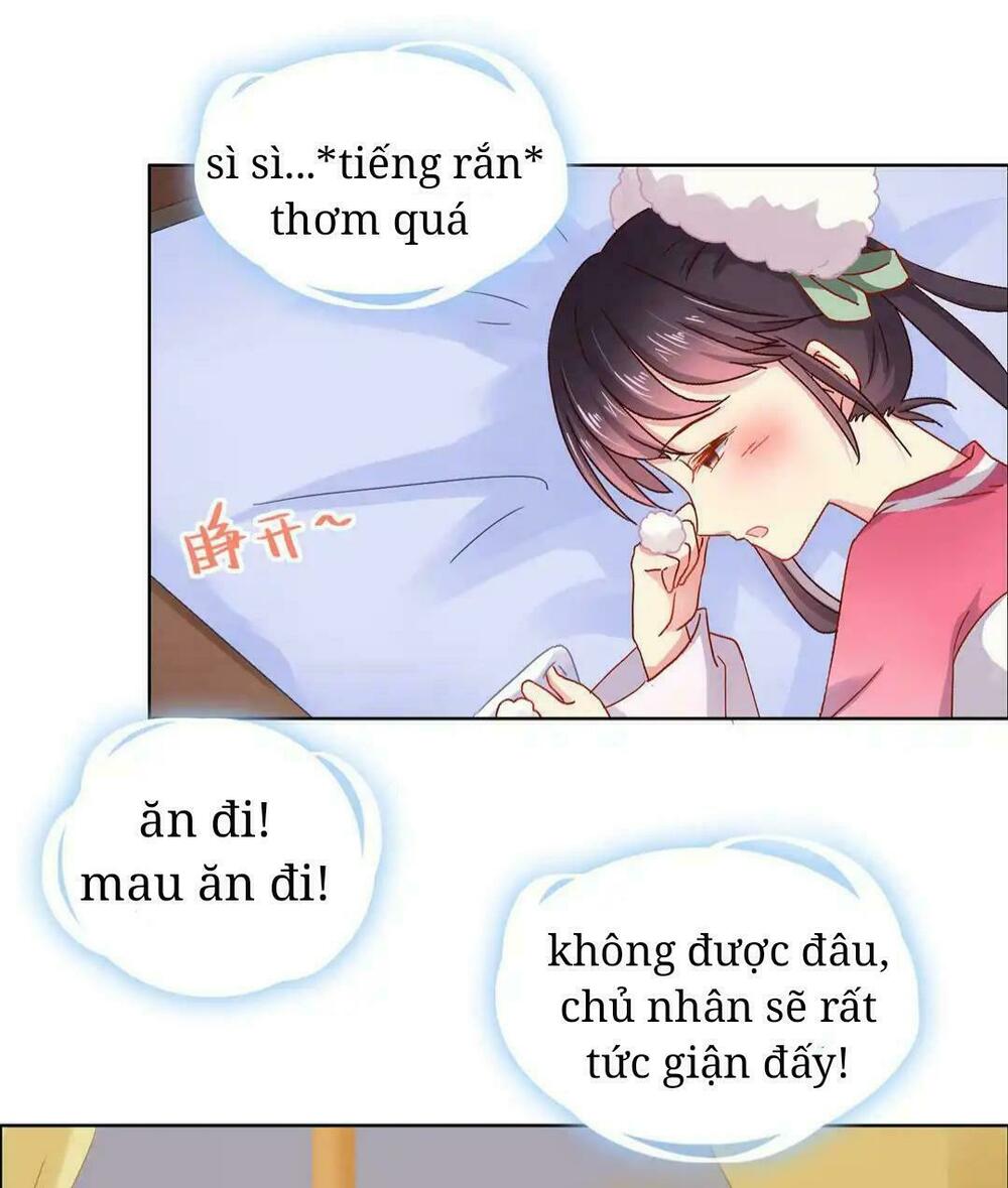 Phi thiên địch tự dưỡng đích khẩu tử: Chapter 3