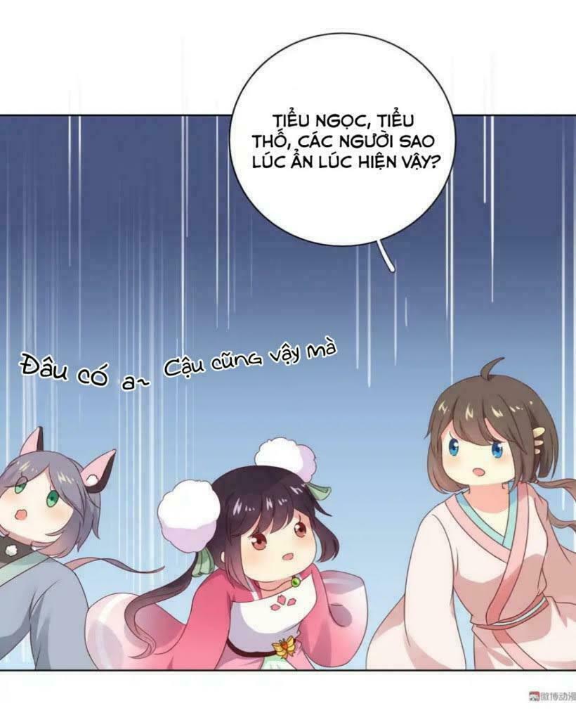 Phi thiên địch tự dưỡng đích khẩu tử: Chapter 44