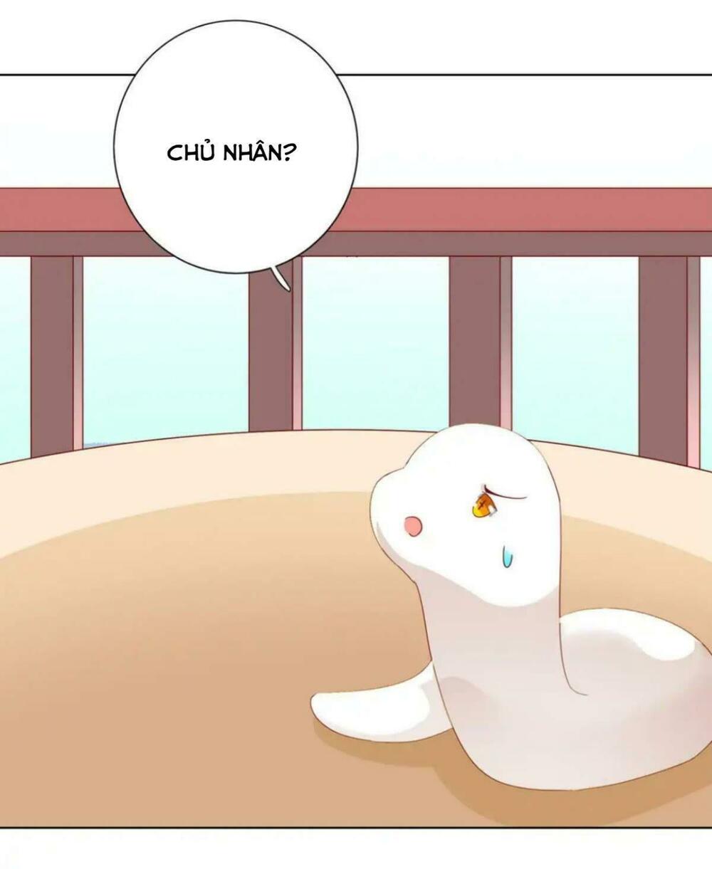 Phi thiên địch tự dưỡng đích khẩu tử: Chapter 44