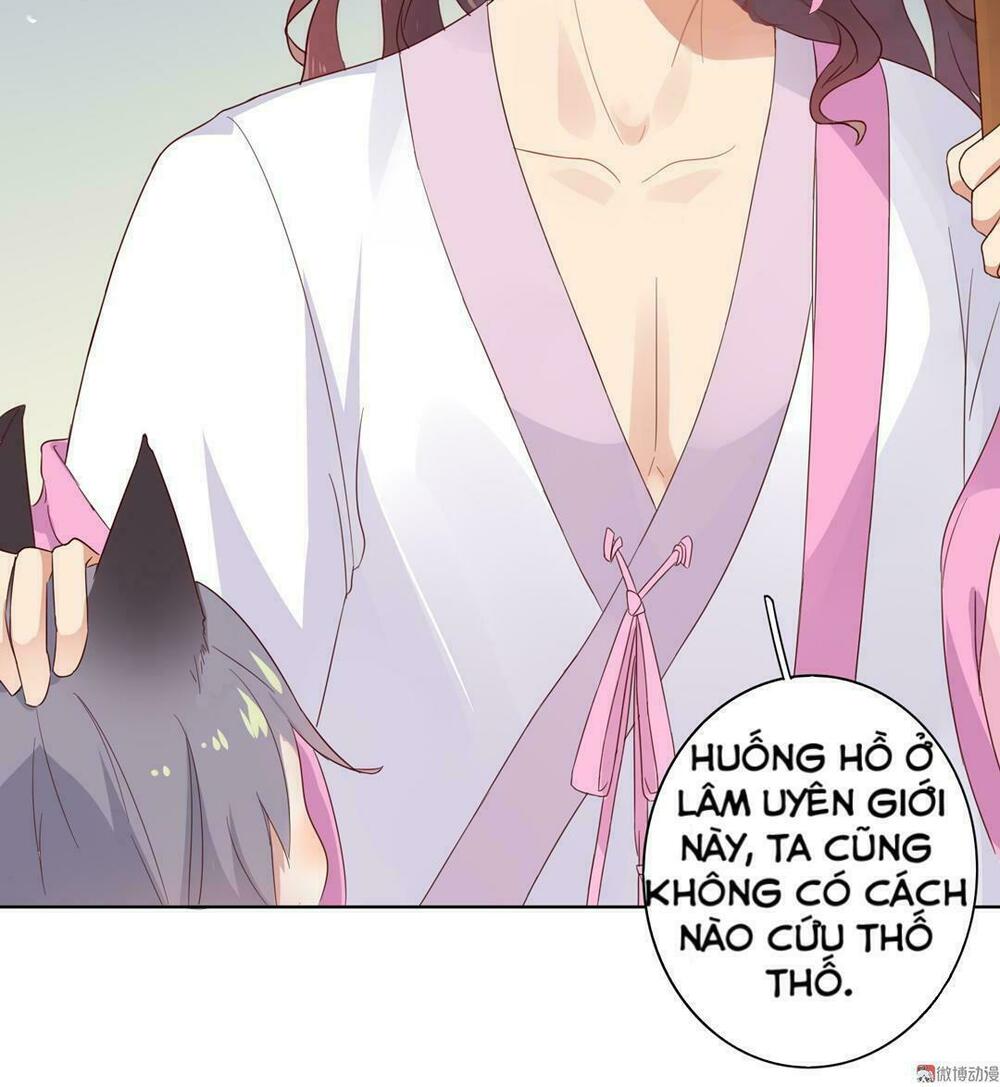 Phi thiên địch tự dưỡng đích khẩu tử: Chapter 45