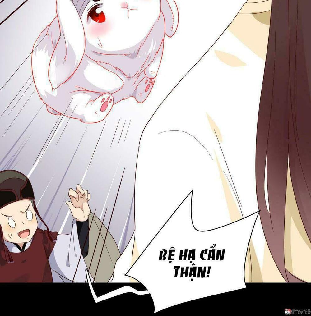 Phi thiên địch tự dưỡng đích khẩu tử: Chapter 46