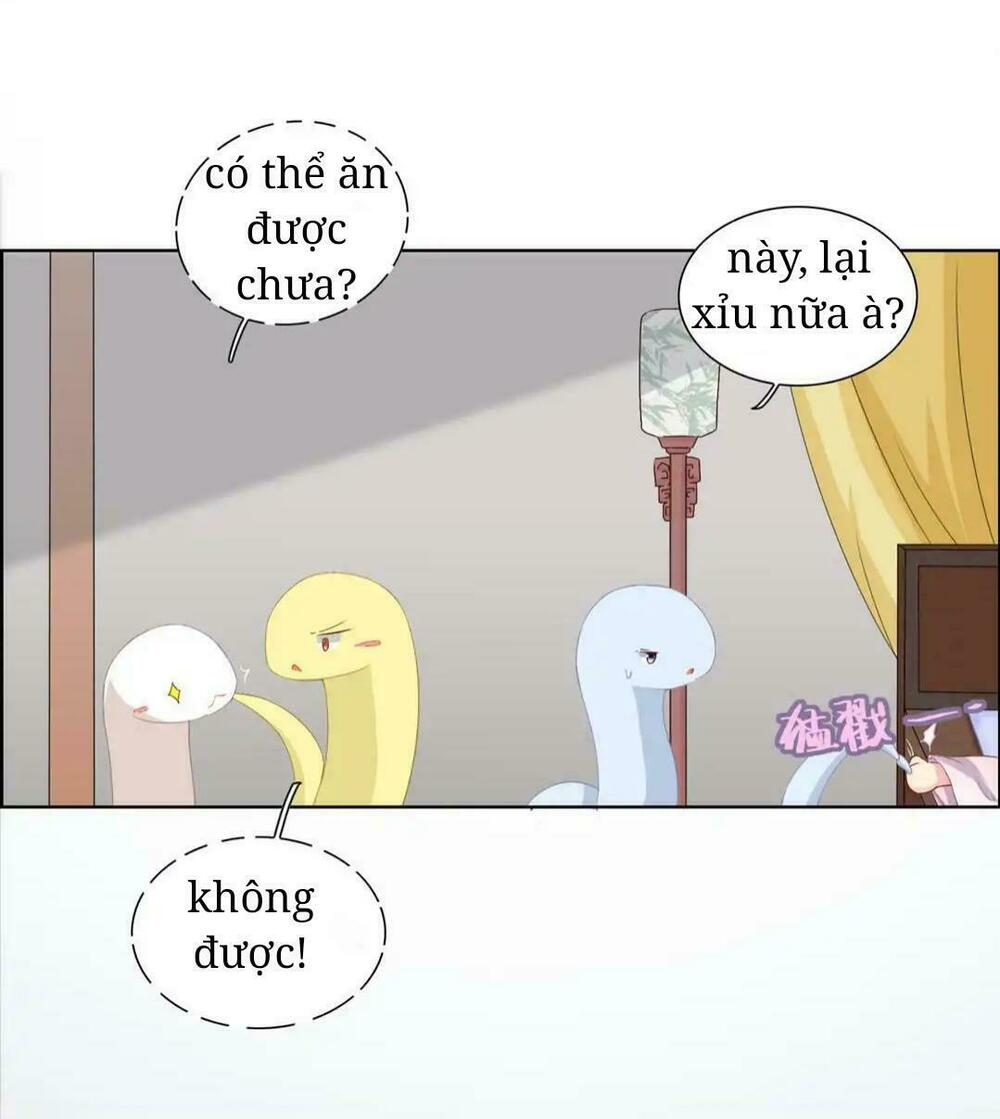 Phi thiên địch tự dưỡng đích khẩu tử: Chapter 5