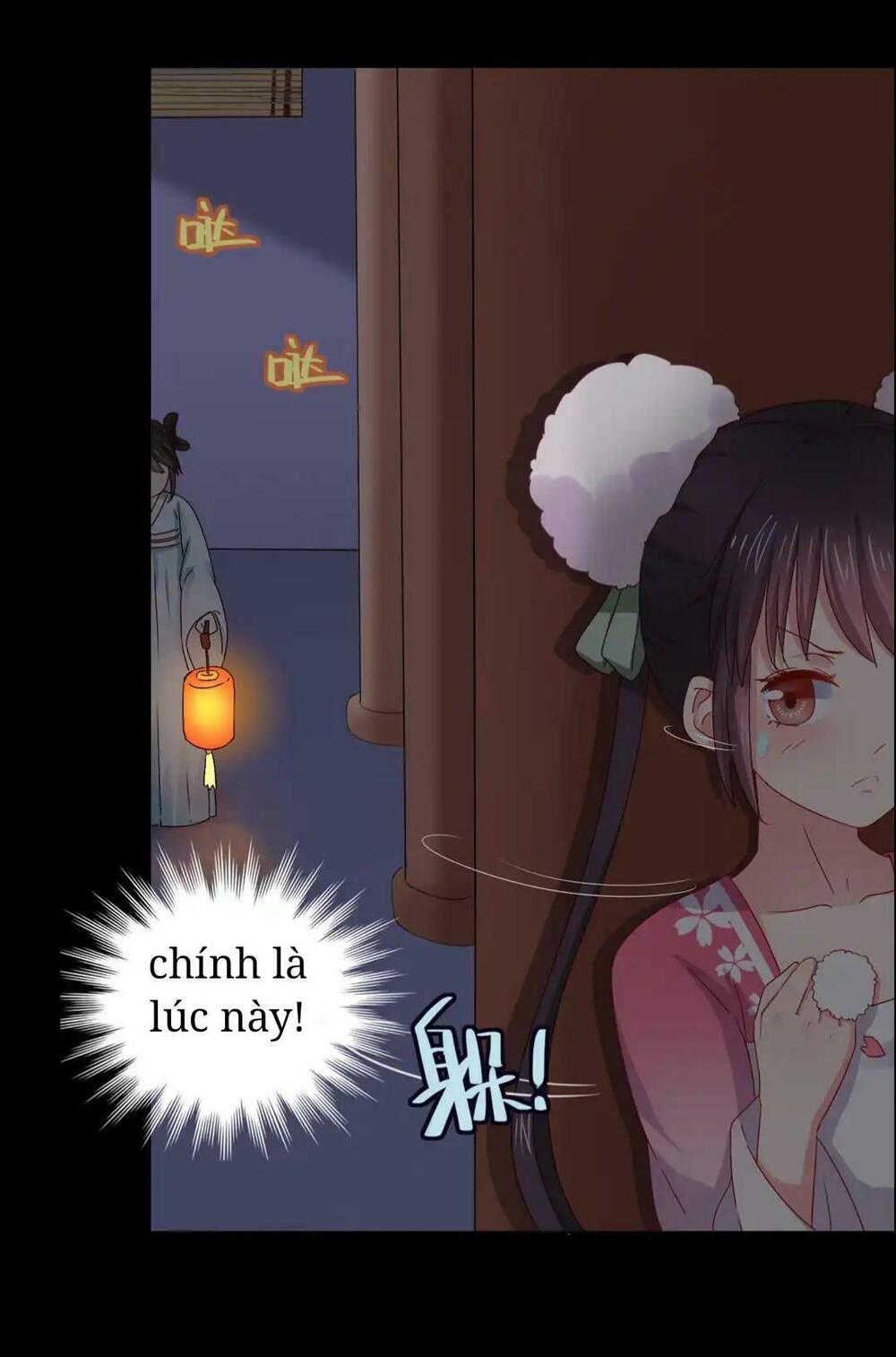 Phi thiên địch tự dưỡng đích khẩu tử: Chapter 5