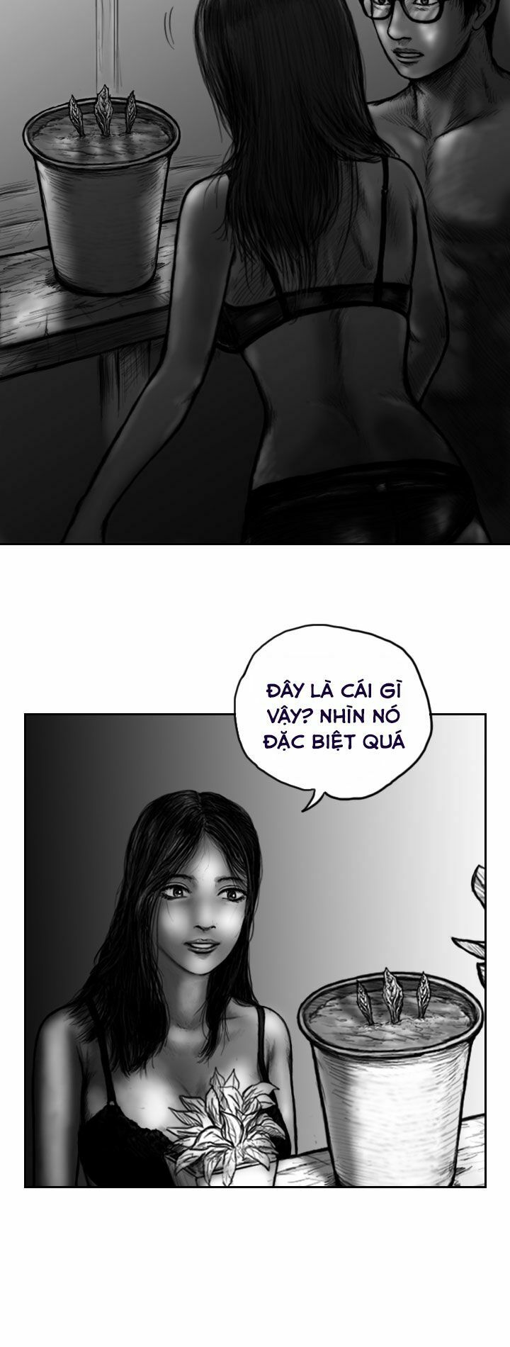 Hạt Giống Mỹ Nhân: Chapter 4