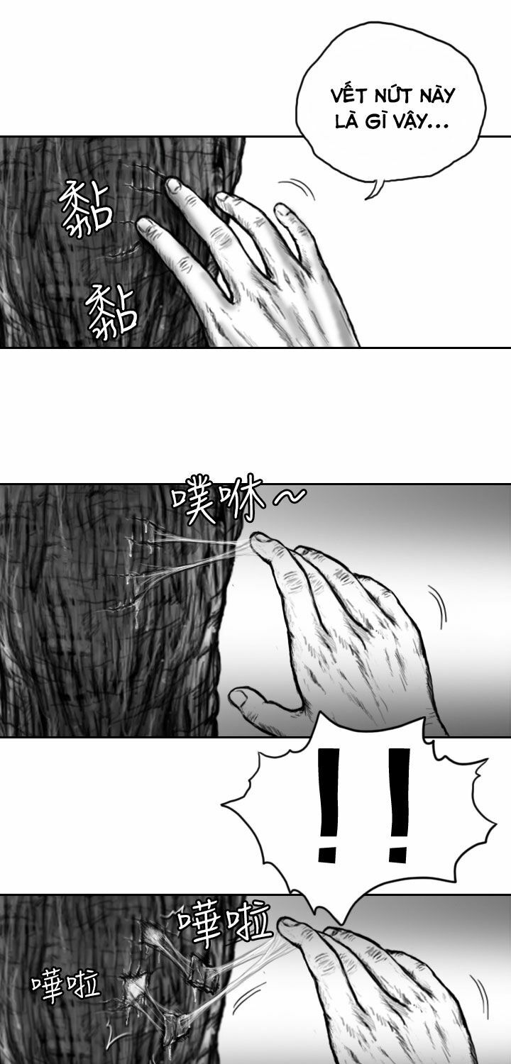 Hạt Giống Mỹ Nhân: Chapter 6