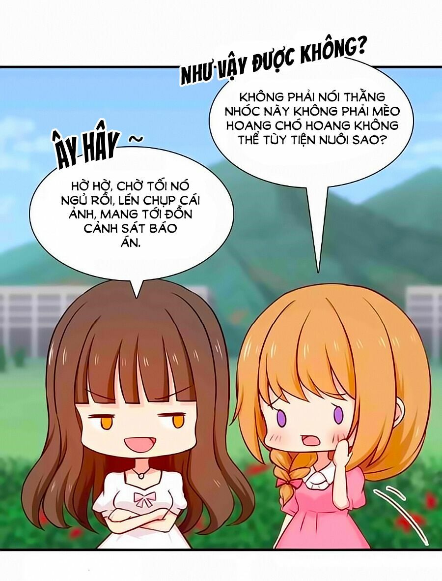 Chỉ Nhiễm Thành Hôn: Chapter 138