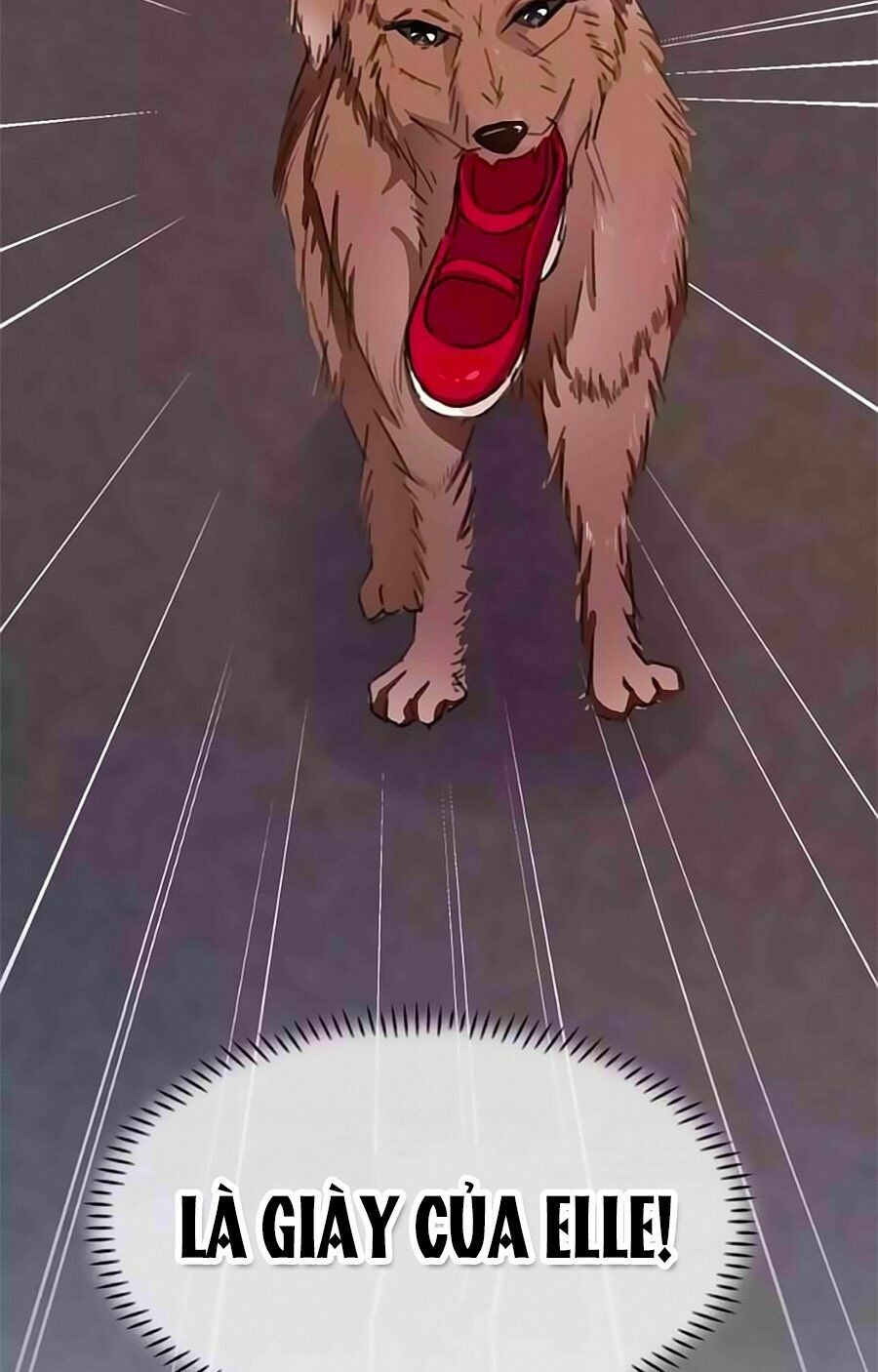 Chỉ Nhiễm Thành Hôn: Chapter 196