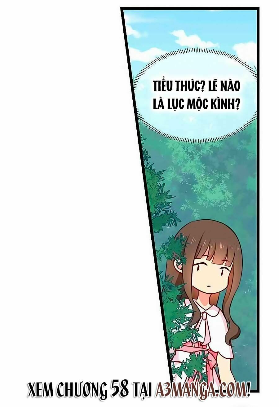 Chỉ Nhiễm Thành Hôn: Chapter 57