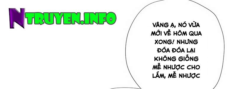 Chỉ nhiễm thành hôn: đại thúc sủng vợ vô độ: Chapter 30