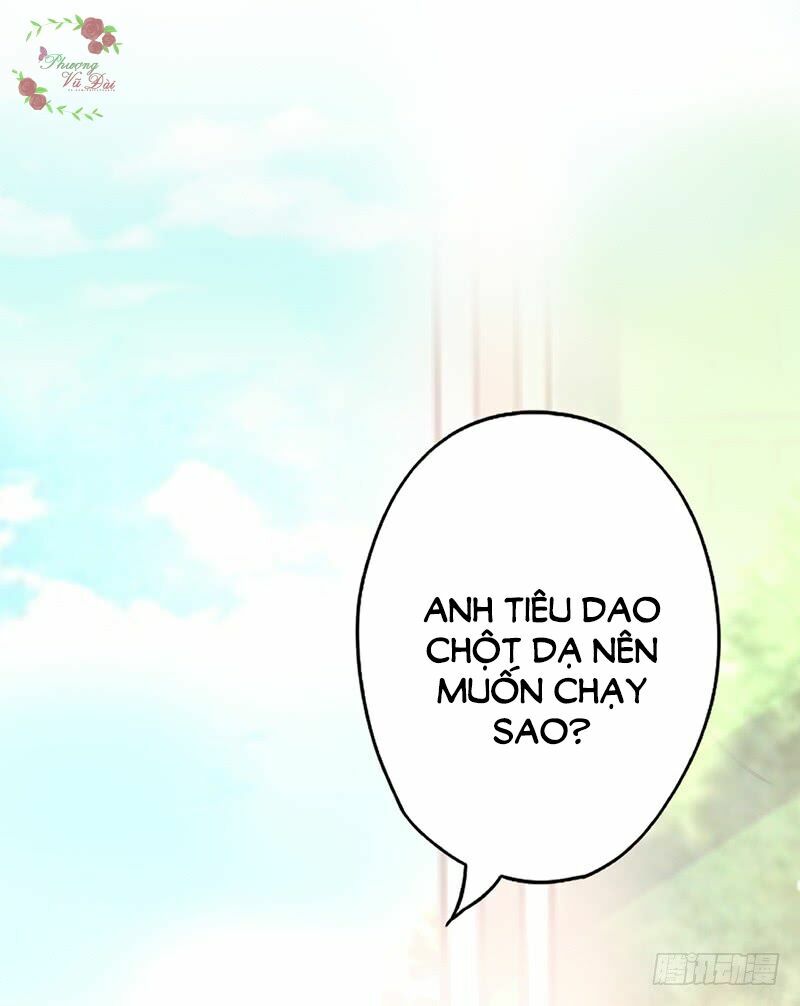 36 kế theo đuổi chồng: Ông xã à, tới chiến nào!: Chapter 2