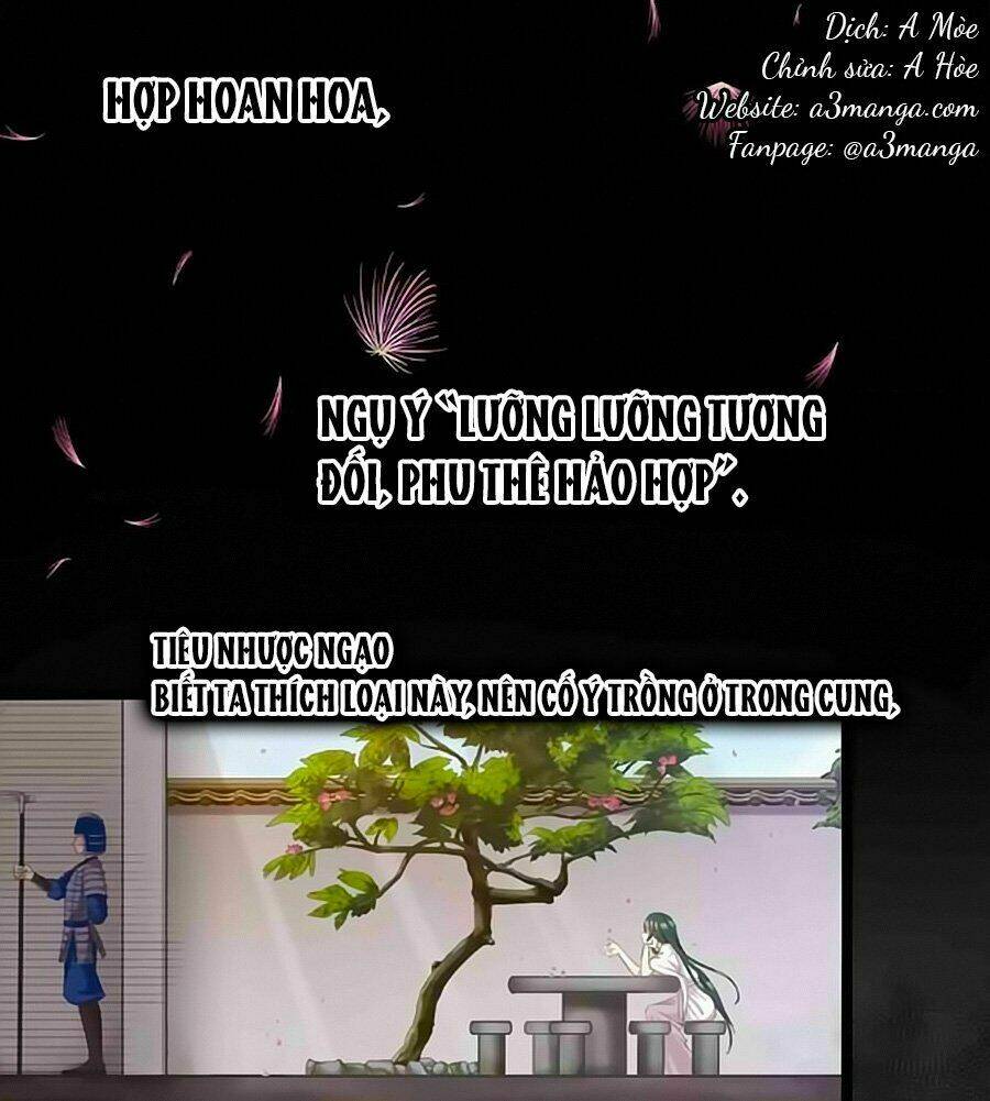 Thịnh Thế Đế Vương Phi: Chapter 3