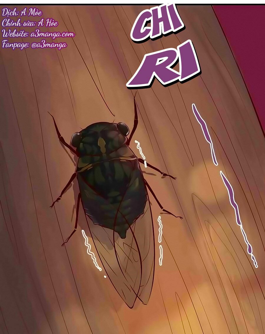 Thịnh Thế Đế Vương Phi: Chapter 82