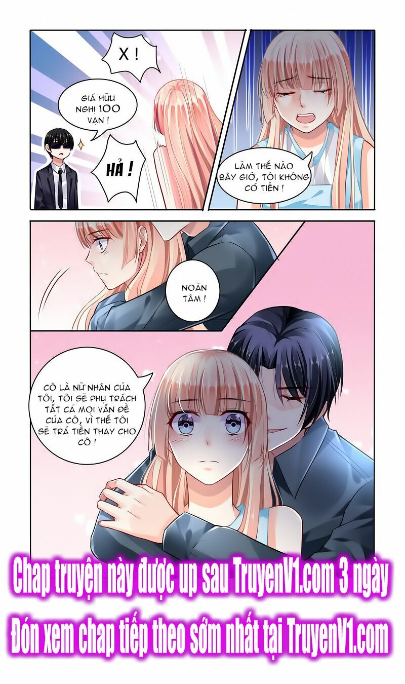 Hào Môn Đệ Nhất Thịnh Hôn: Chapter 61
