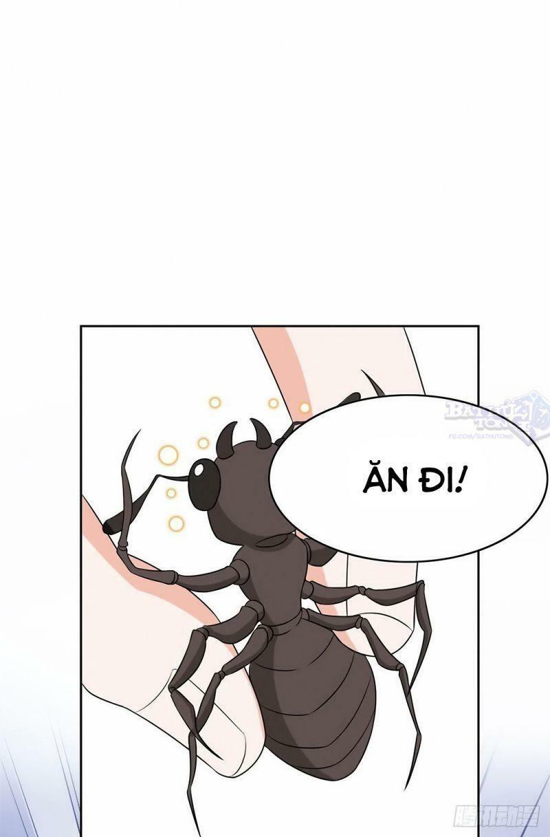Cường Giả Đến Từ Trại Tâm Thần: Chapter 19