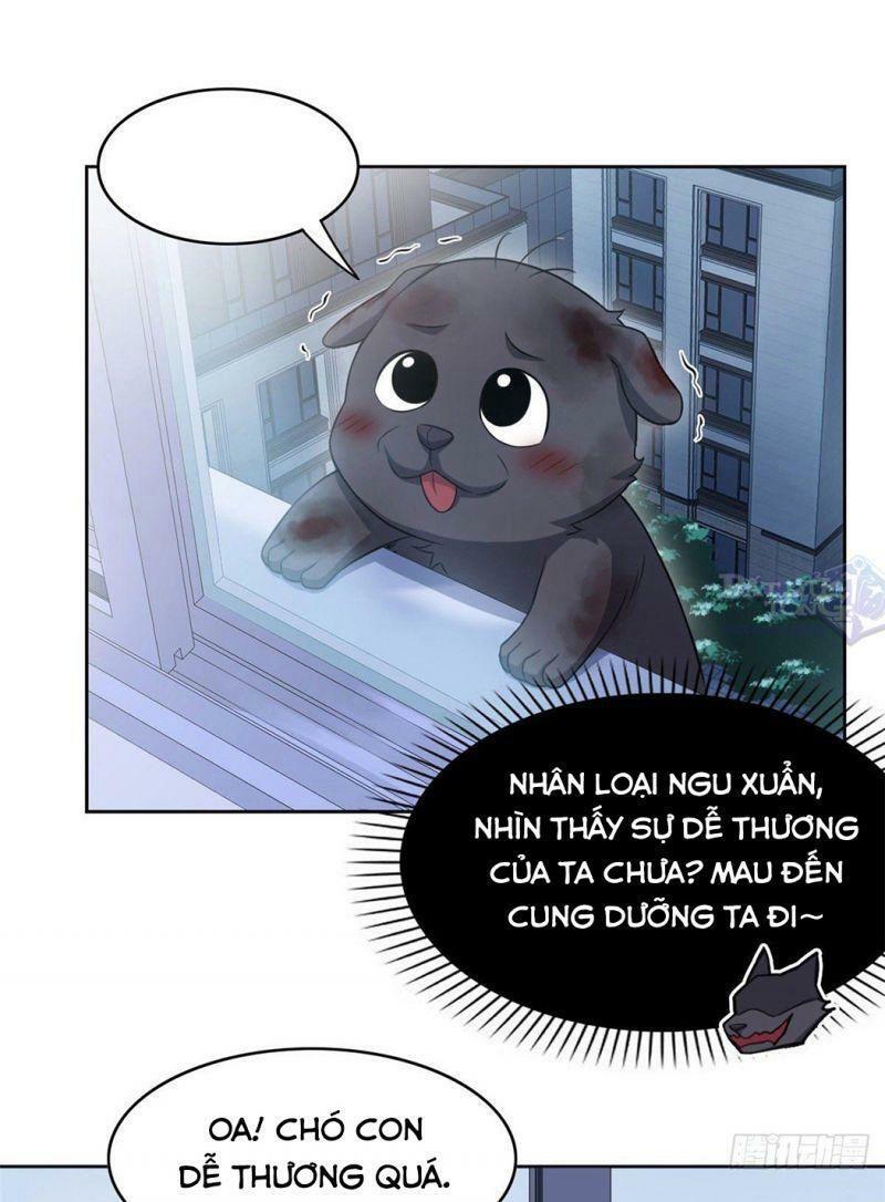 Cường Giả Đến Từ Trại Tâm Thần: Chapter 21