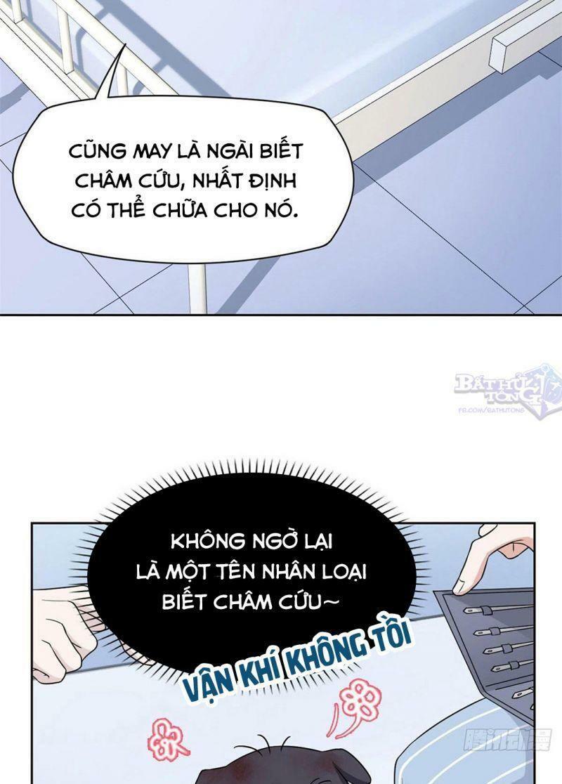 Cường Giả Đến Từ Trại Tâm Thần: Chapter 21