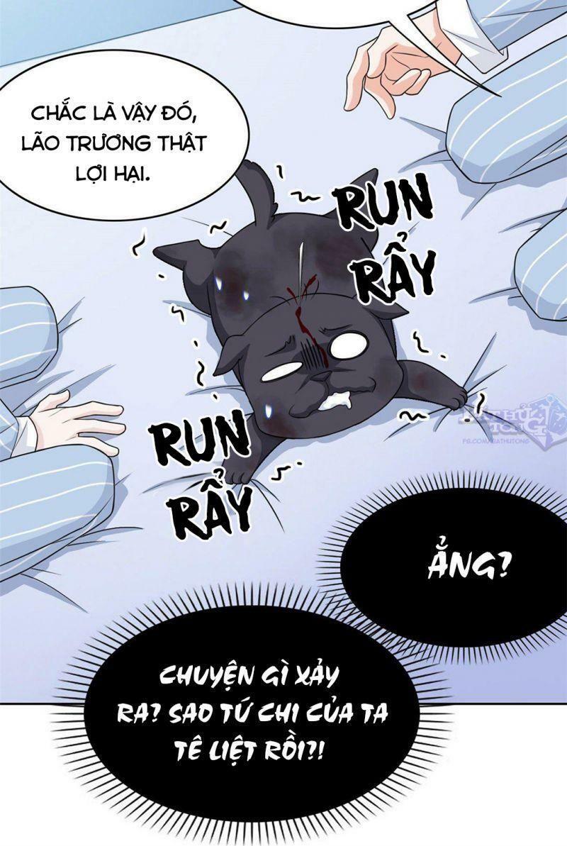 Cường Giả Đến Từ Trại Tâm Thần: Chapter 21