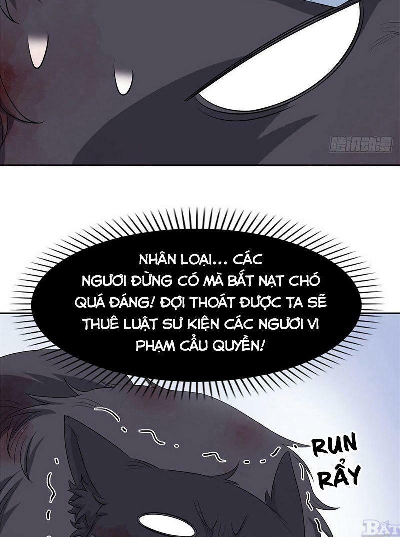 Cường Giả Đến Từ Trại Tâm Thần: Chapter 23