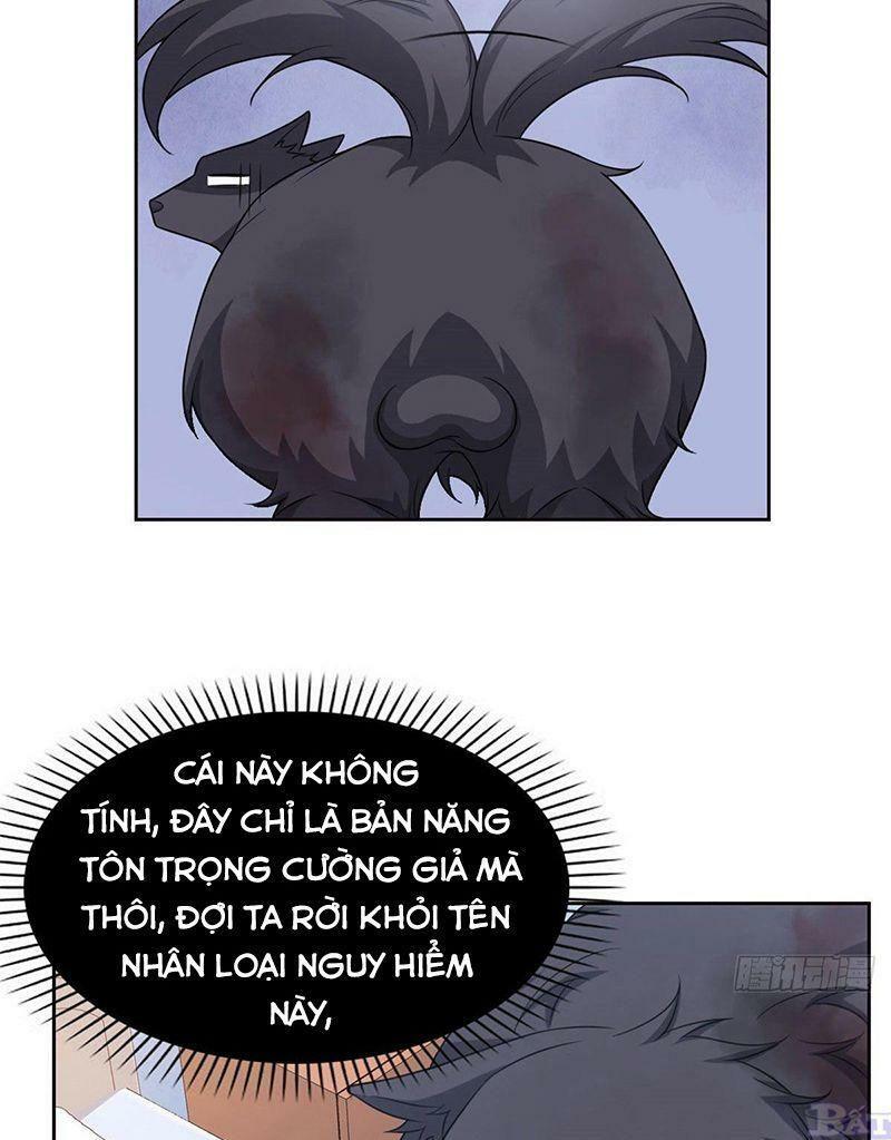 Cường Giả Đến Từ Trại Tâm Thần: Chapter 23