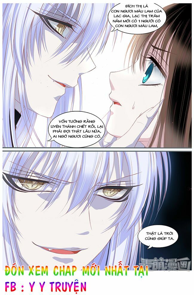 Nguyệt Thương: Chapter 48