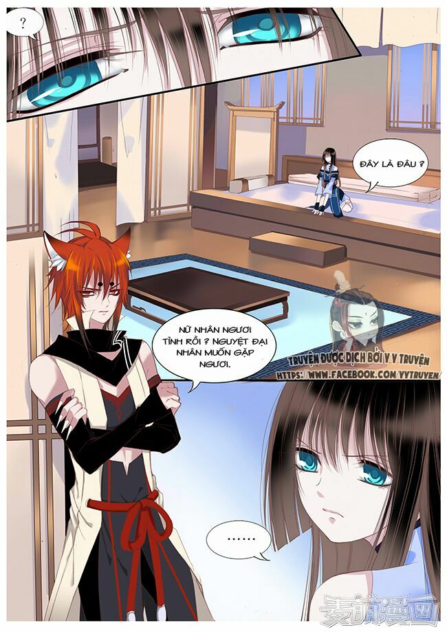 Nguyệt Thương: Chapter 48