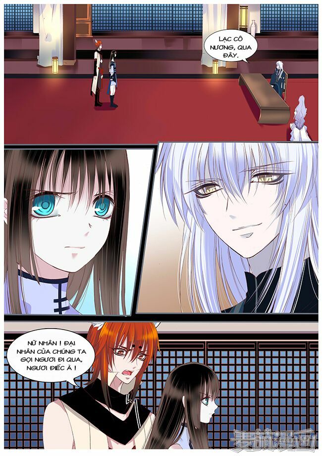 Nguyệt Thương: Chapter 48