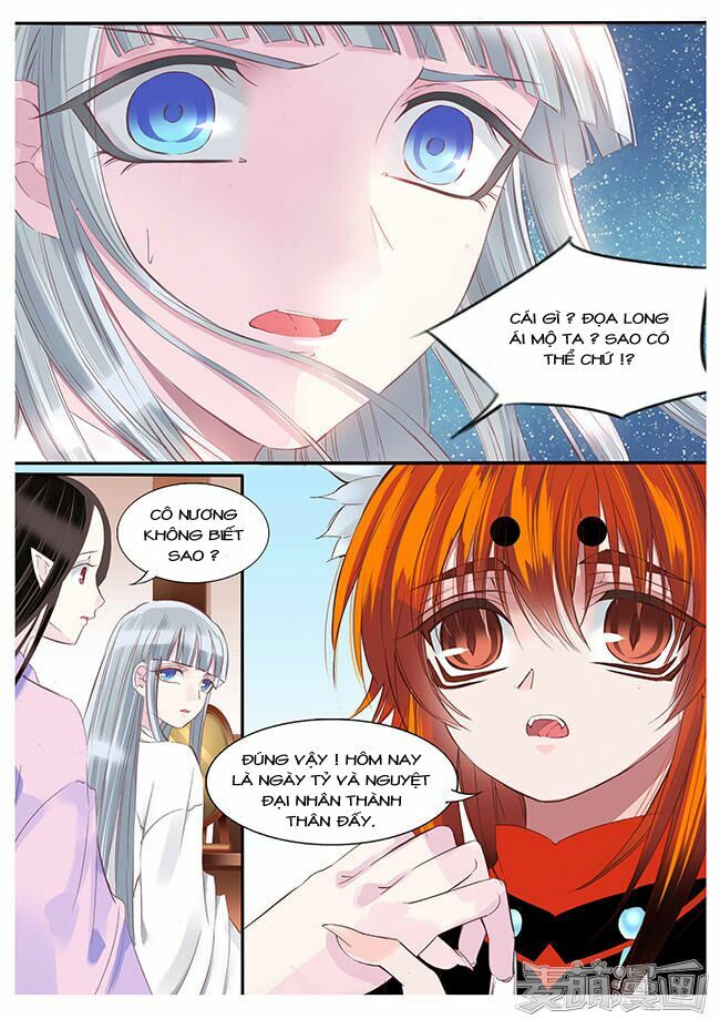 Nguyệt Thương: Chapter 81
