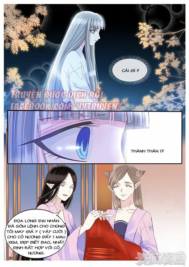 Nguyệt Thương: Chapter 81