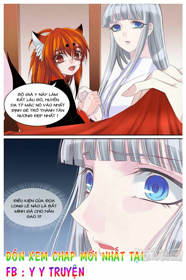 Nguyệt Thương: Chapter 81