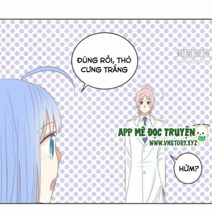 Em chỉ yêu tiền của anh: Chapter 19