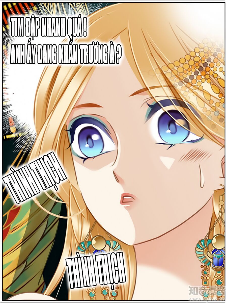 Sủng Phi Của Pharaoh: Chapter 51
