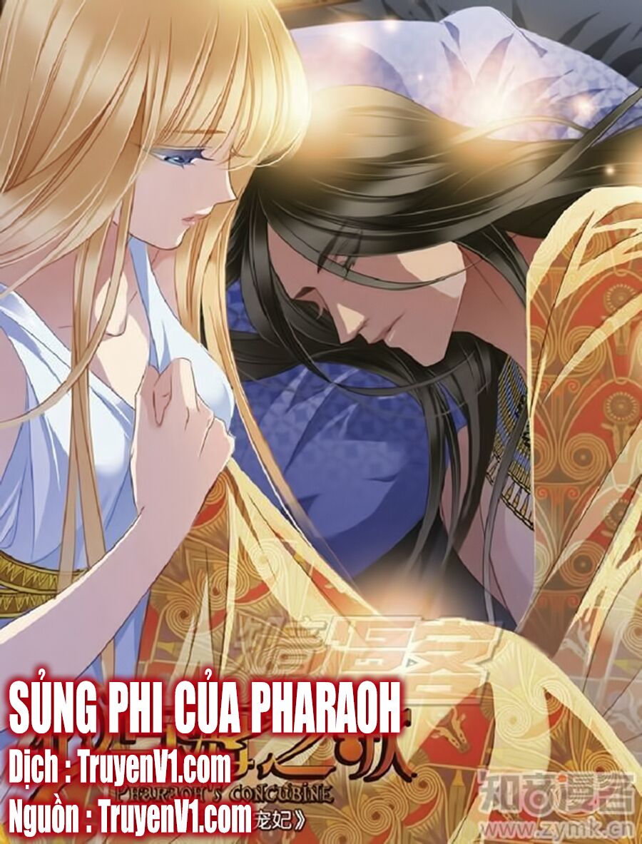 Sủng Phi Của Pharaoh: Chapter 54