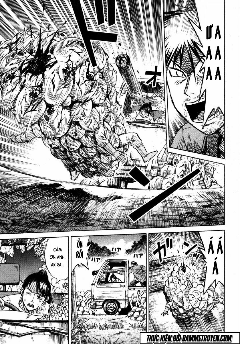 Higanjima - Đảo ma cà rồng: Chapter 231