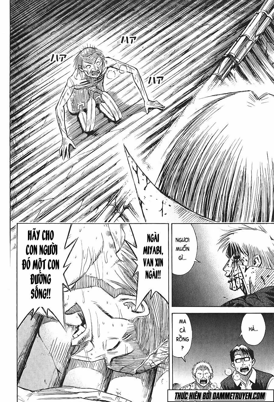 Higanjima - Đảo ma cà rồng: Chapter 317