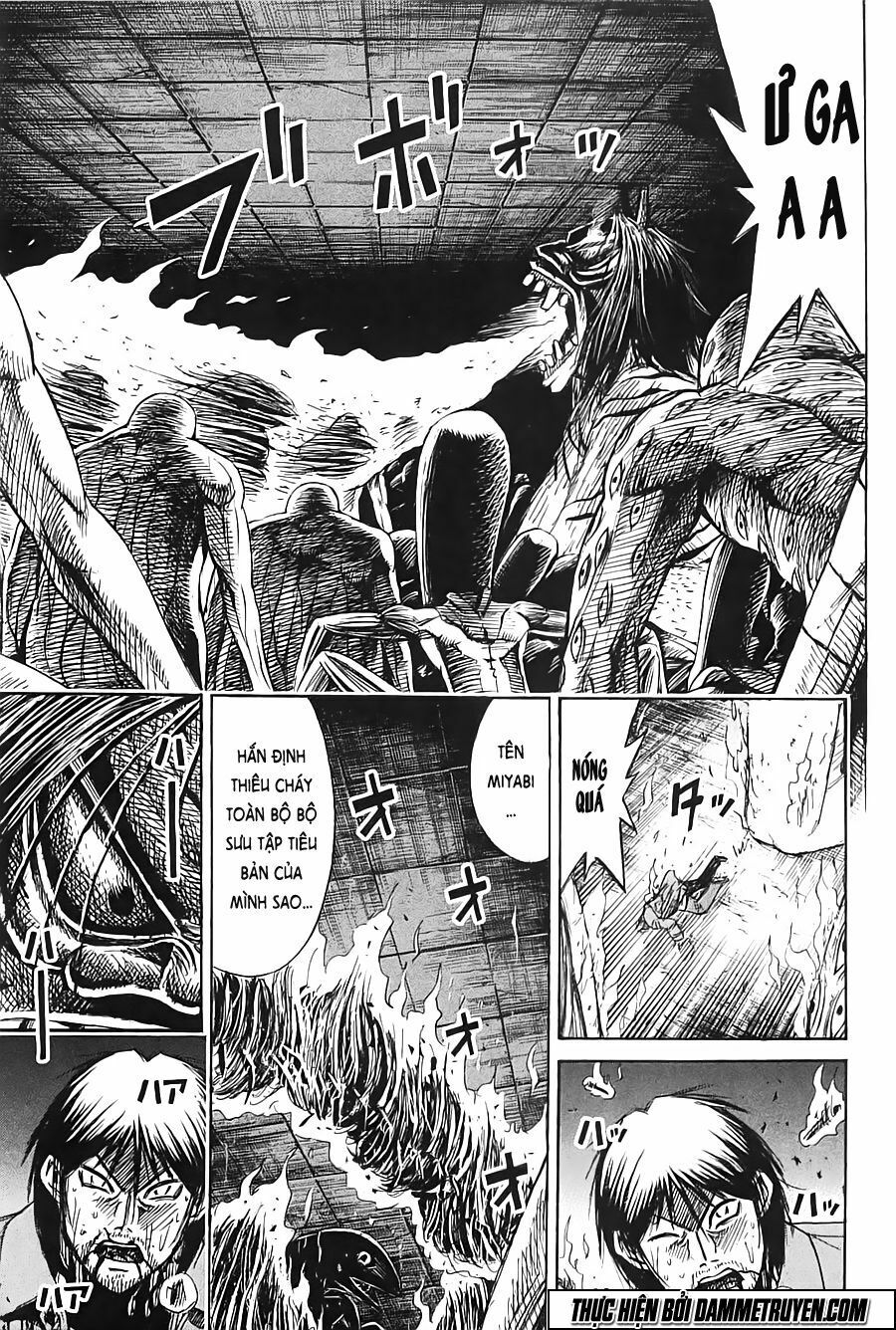 Higanjima - Đảo ma cà rồng: Chapter 324