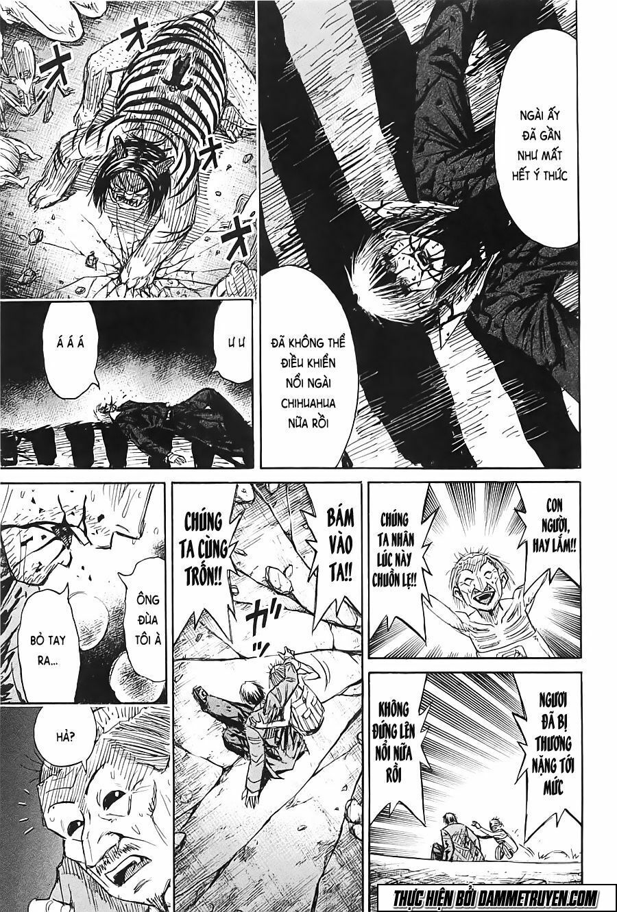 Higanjima - Đảo ma cà rồng: Chapter 325