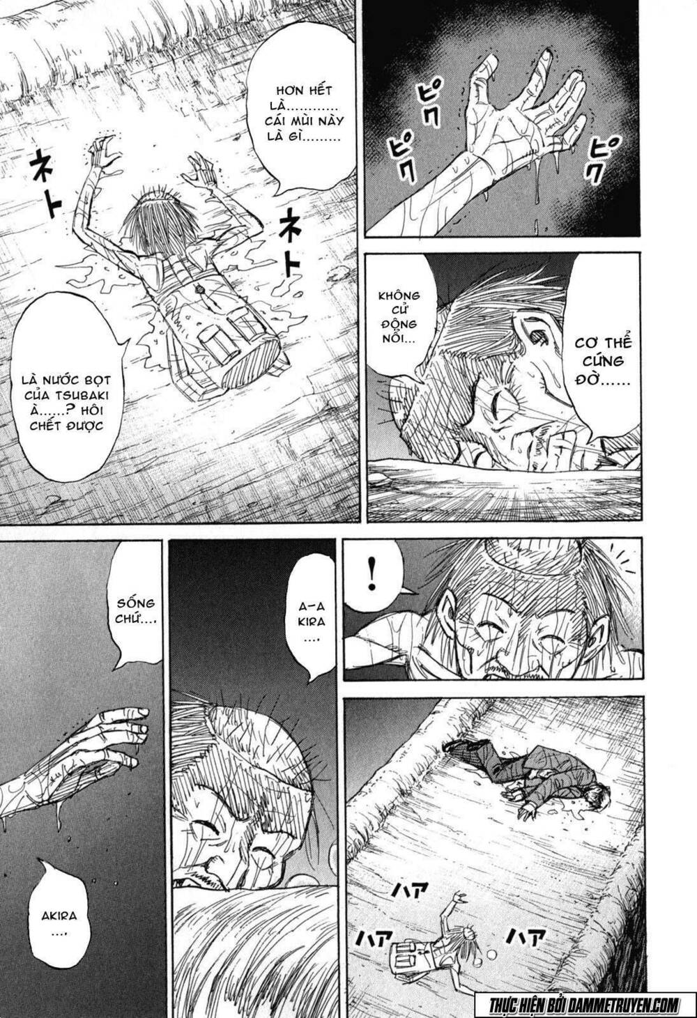 Higanjima - Đảo ma cà rồng: Chapter 477